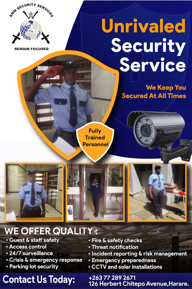 VIP protection detail